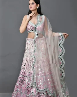 Elegant Embroidered Lehenga Set