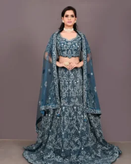 Royal Velvet Lehenga Choli