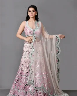 Elegant Embroidered Lehenga Set